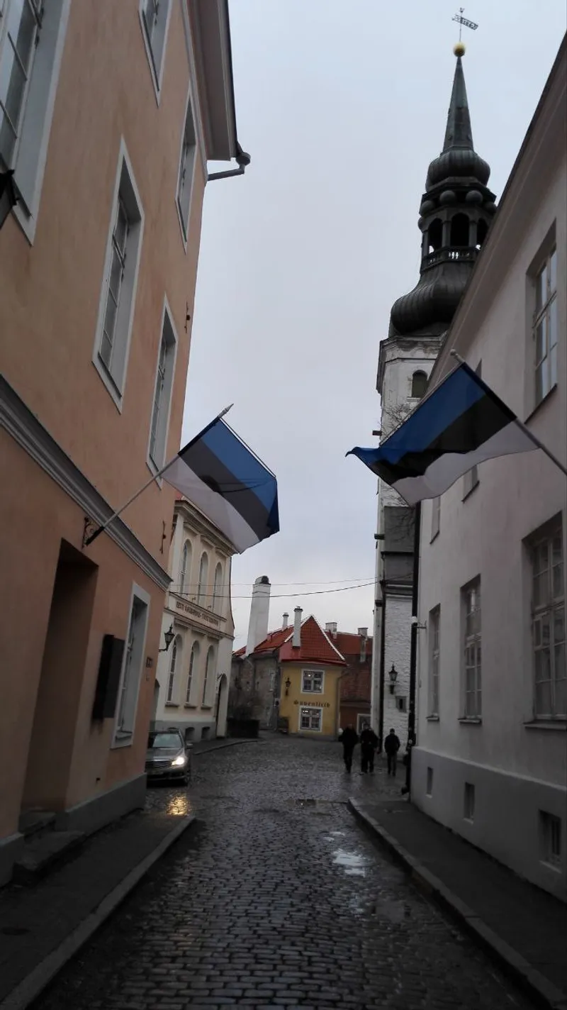 Tallinn Under the Horns