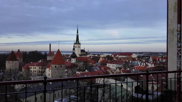 Tallinn Under the Horns — Gallery 3