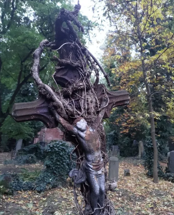Czechia Under the Horns — Gallery 8